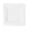 10in square molded fiber plate