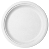 10in white molded fiber plate